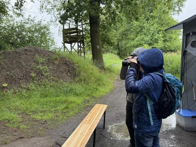 Trotz Regen den Wald entdecken – Waldprojekt der 6. und 11. Klassen im Dubringer Moor