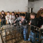Bild in der Galerie